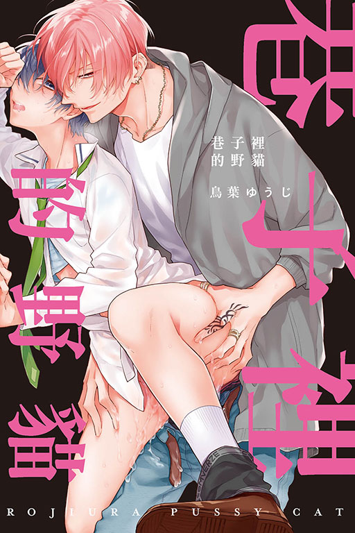 巷子裡的野貓(1)
